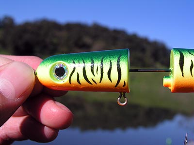 Pop-a-Long with the multi-functional topwater lure that will drive fish wild