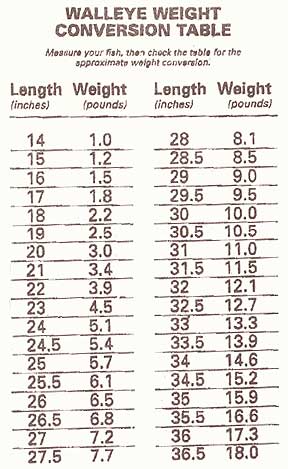 Size 0 Dipsy Diver Chart
