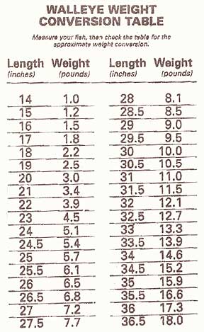 Dipsy Diver Depth Chart Wireline