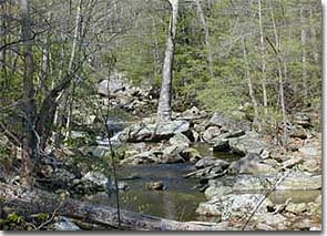 Add a Photo for Big Hunting Creek