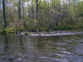 Add a Photo for The Ausable River