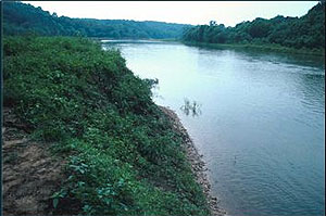 Add a Photo for Gasconade River 