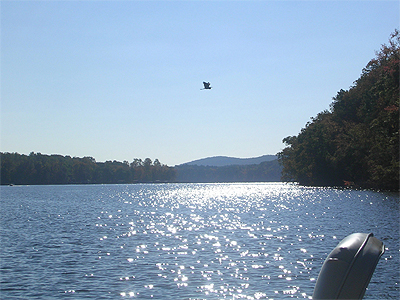 Add a Photo for Lake Tillery