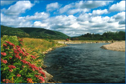 Add a Photo for Margaree River