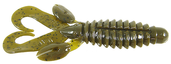 Bug Worm