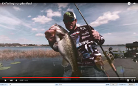 Inception Low Profile Casting Reel