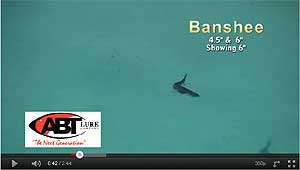 Banshee