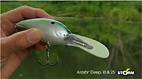 Arashi Rattling Deep Series Crankbaits
