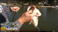 Armored Craw 4