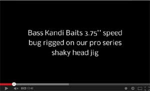 Speed Bug