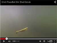 Slim Shad