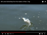 StutterStep Topwater