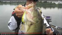 AMP Deep Runner Crankbait