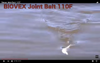 Joint Bait 110 SF Swimbait