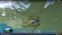 Crazy Ace