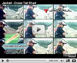Cross Tail Shad