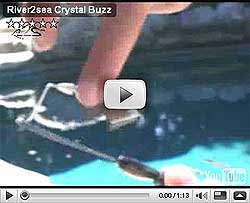 Crystal Buzz