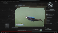 Stealth Swim Jig