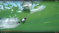 Swing Buzz Buzzbait