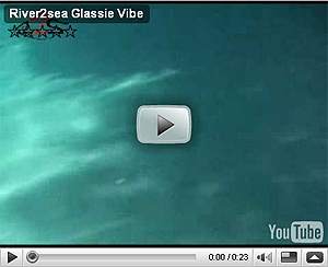 Glassi Vibration