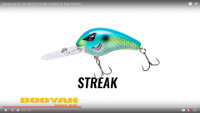 Streak IV