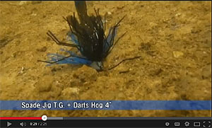 Darts Hog