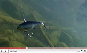 Live Target Gizzard Shad Vibration Trap