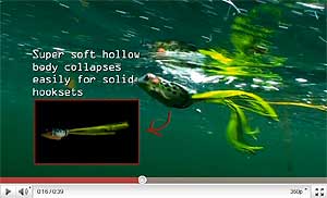 Hollow Body Frog