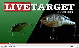 Live Target Bluegill Wakebait