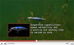 Live Target Smelt