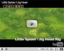 Little Spider