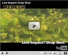 Live Impact Worm
