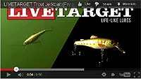 Live Target Trout