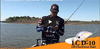 LC 2.0 D-10 Crankbait