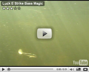 Bass Magic Swim Bait