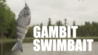 Lunkerhunt Gambit Swimbait Video