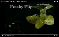Freaky Flip