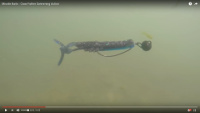 Missile Baits Craw Father Video