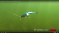 BX Jointed Minnow
