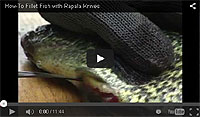 Rapala Electric Fillet Knife & Fork Video