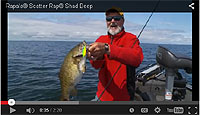 Scatter Rap Shad Deep