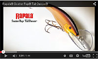 Scatter Rap Tail Dancer