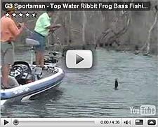 Ribbit Frog