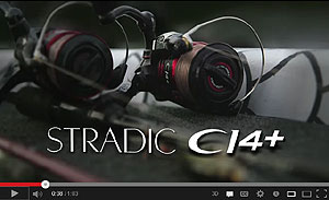 Stradic CI4+ Spinning Reel