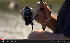 Sustain FG Front Drag Freshwater Spinning Reels