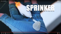 Sprinker Frog