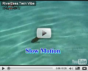 Twin Vib