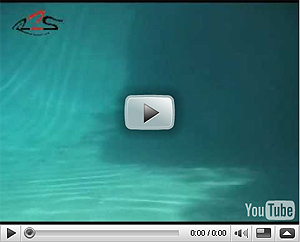 V-Joint Minnow