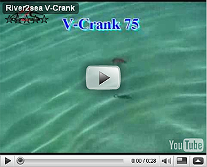 V-Crank