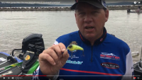 Flex II Squarebill Crankbait